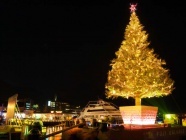 クリスマスツリーの画像