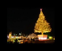 クリスマスツリーの画像